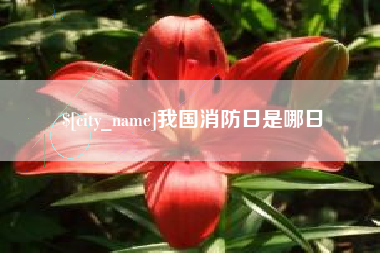 沧州我国消防日是哪日