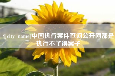 沧州中国执行案件查询公开网都是执行不了得案子