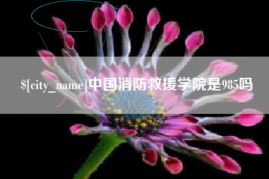 沧州中国消防救援学院是985吗