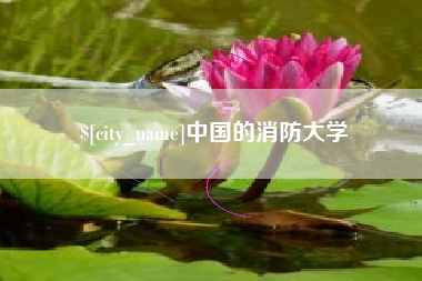 沧州中国的消防大学