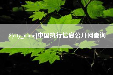 沧州中国执行信息公开网查询