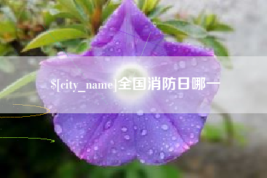 沧州全国消防日哪一