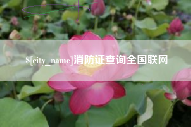 沧州消防证查询全国联网