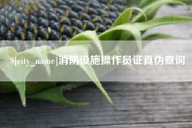 沧州消防设施操作员证真伪查询