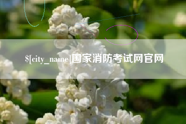沧州国家消防考试网官网