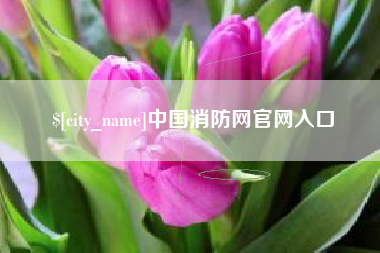 沧州中国消防网官网入口