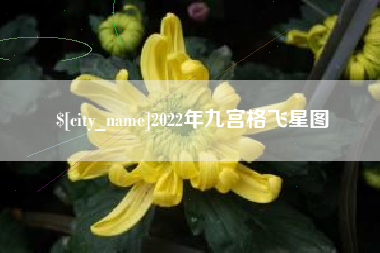 沧州2022年九宫格飞星图