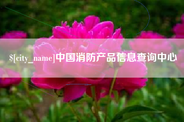 沧州中国消防产品信息查询中心