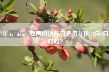 沧州我国的消防日是每年的11月9日对吗？