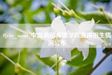 沧州中国消防救援学院湖南招生情况公布