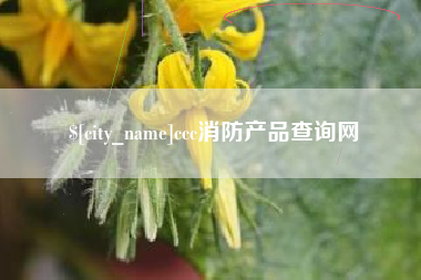 沧州ccc消防产品查询网