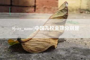 沧州中国九枚金牌分别是