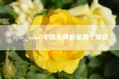 沧州中国金牌都是哪个项目
