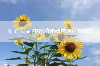 沧州中国消防器材网官方网站