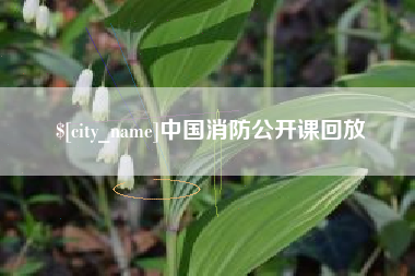 沧州中国消防公开课回放
