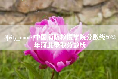 沧州中国消防救援学院分数线2023年河北录取分数线