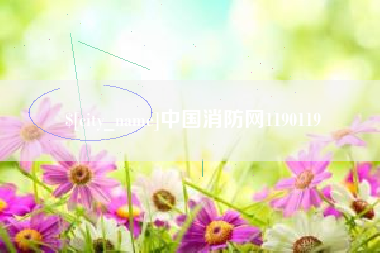 沧州中国消防网1190119