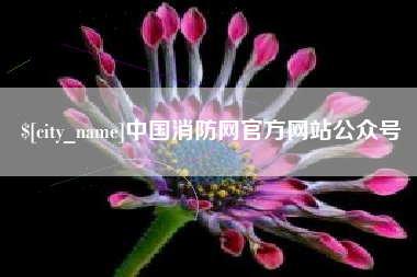 沧州中国消防网官方网站公众号