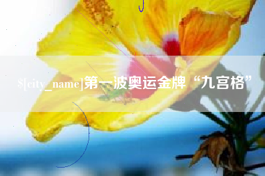 沧州第一波奥运金牌“九宫格”