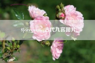 沧州古代九宫图片