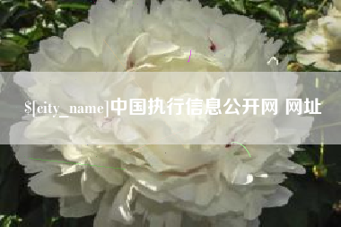 沧州中国执行信息公开网 网址