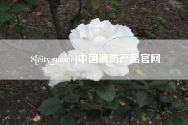 沧州中国消防产品官网
