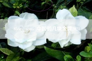 沧州中国的几块金牌2021