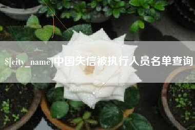 沧州中国失信被执行人员名单查询