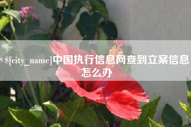 沧州中国执行信息网查到立案信息怎么办