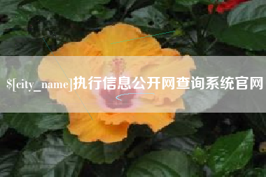沧州执行信息公开网查询系统官网