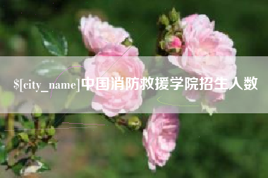沧州中国消防救援学院招生人数