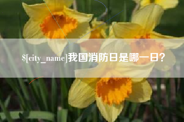 沧州我国消防日是哪一日？