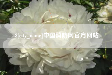 沧州中国消防网官方网站