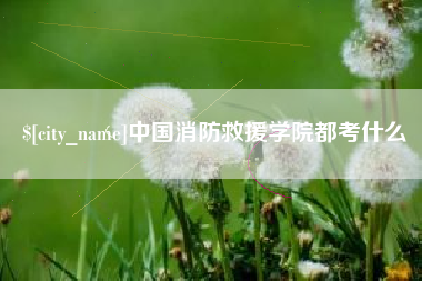 沧州中国消防救援学院都考什么