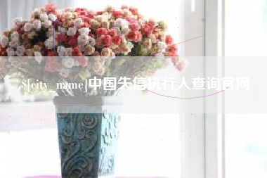 沧州中国失信执行人查询官网