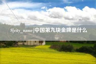 沧州中国第九块金牌是什么