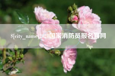 沧州2021国家消防员报名官网