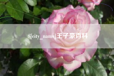 沧州王子豪百科
