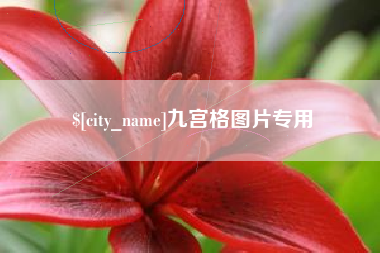 沧州九宫格图片专用