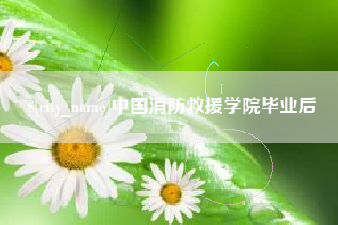 沧州中国消防救援学院毕业后