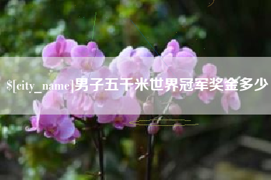 沧州男子五千米世界冠军奖金多少