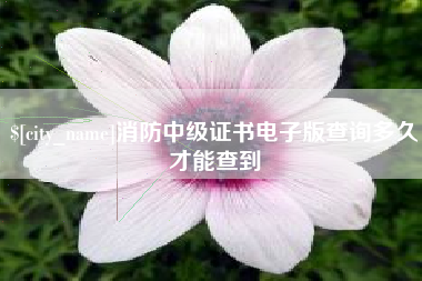 沧州消防中级证书电子版查询多久才能查到