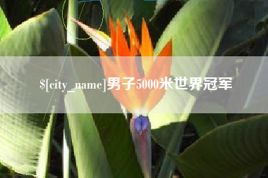 沧州男子5000米世界冠军