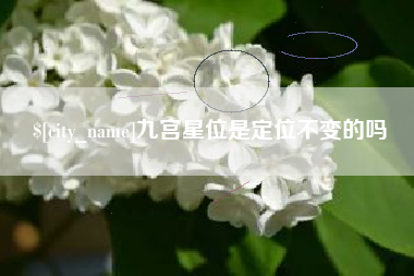 沧州九宫星位是定位不变的吗