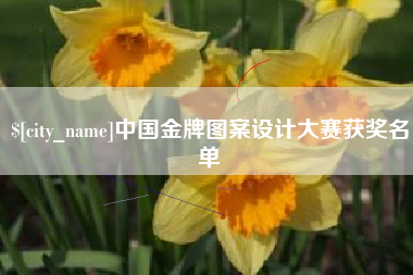 沧州中国金牌图案设计大赛获奖名单