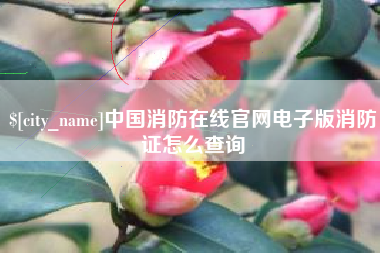 沧州中国消防在线官网电子版消防证怎么查询