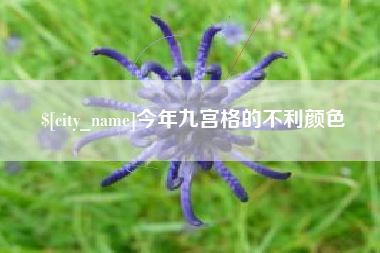 沧州今年九宫格的不利颜色