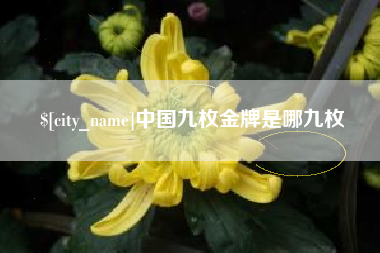 沧州中国九枚金牌是哪九枚
