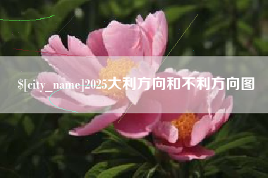 沧州2025大利方向和不利方向图