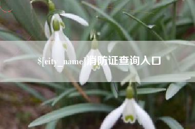 沧州消防证查询入口